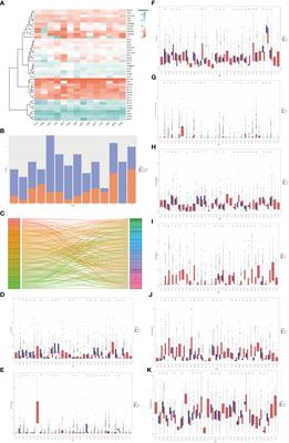 Copper-related genes predict prognosis and characteristics of breast cancer